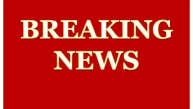 MP BJP CHUNAV NEWS : बड़ी खबर…! 94 सीटों पर मंथन…कट सकते हैं 30 से ज्यादा MLA और 5 मंत्रियों के टिकट