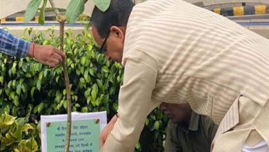 Tree Plantation : मुख्यमंत्री चौहान ने नई दिल्ली प्रवास पर पौधा-रोपण किया…नवीन मध्यप्रदेश भवन परिसर में रौपा चंपा का पौधा