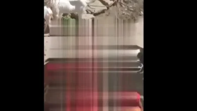 Dirty Holi Atmosphere : महिलाओं की घिनौनी हरकत…! होली में युवती को बिना कपड़ों के जमकर पीटा…फिर क्या हुआ यहां देखें VIDEO