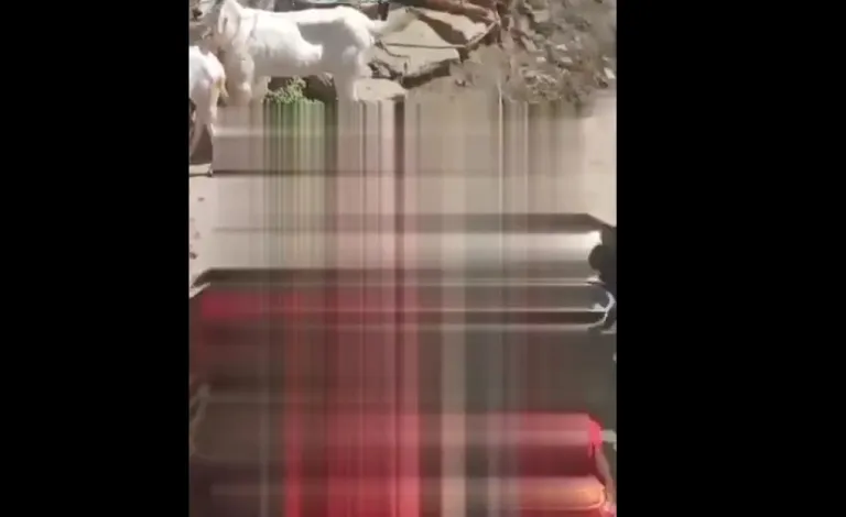 Dirty Holi Atmosphere : महिलाओं की घिनौनी हरकत…! होली में युवती को बिना कपड़ों के जमकर पीटा…फिर क्या हुआ यहां देखें VIDEO